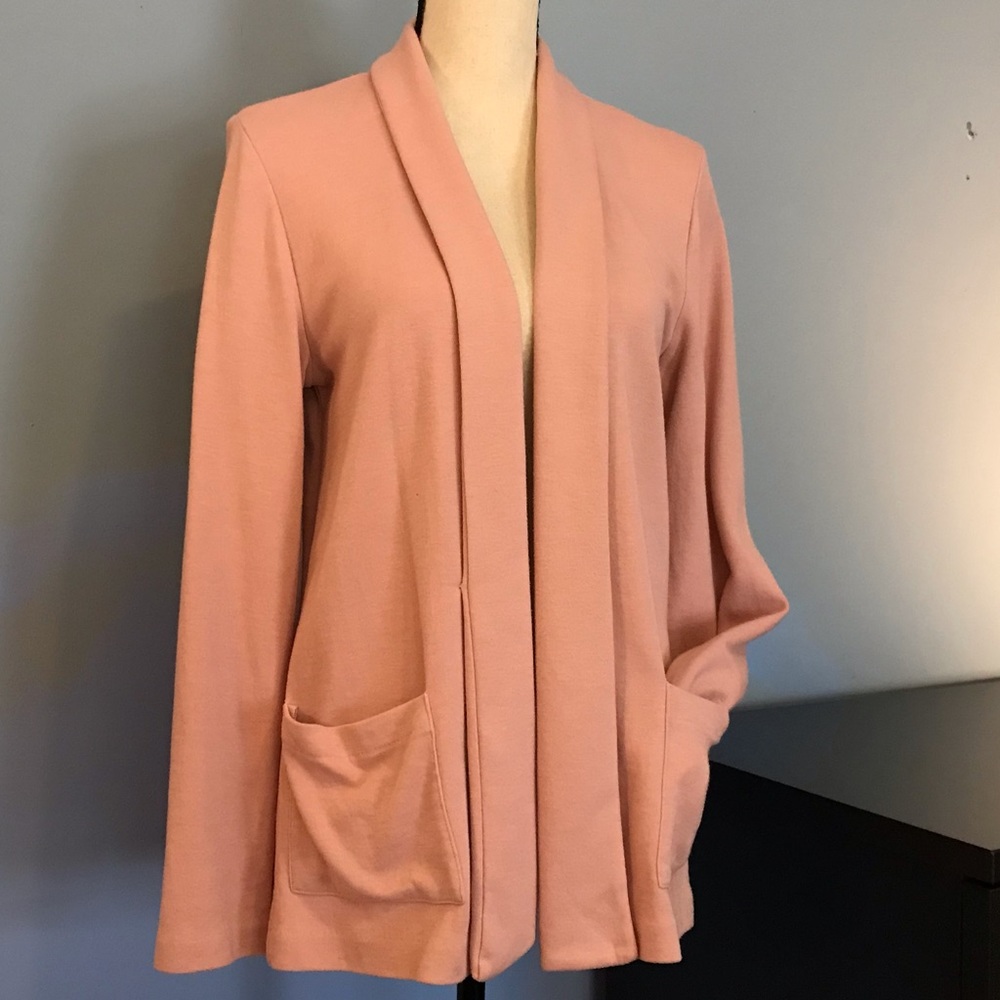 Express Blazer in a Carnation Pink